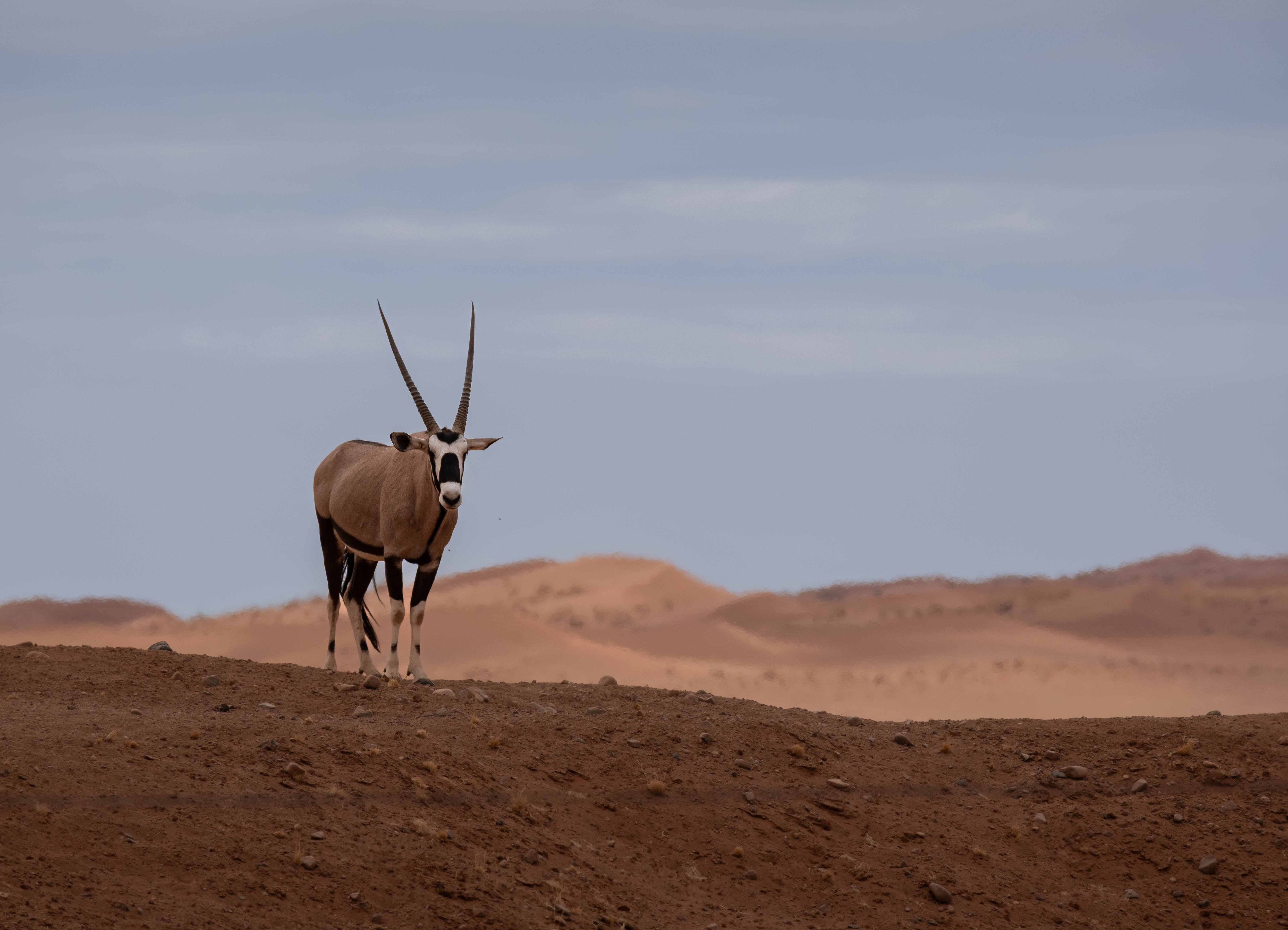 Top Namibia Sunset and Sunrise Spots for Photographers