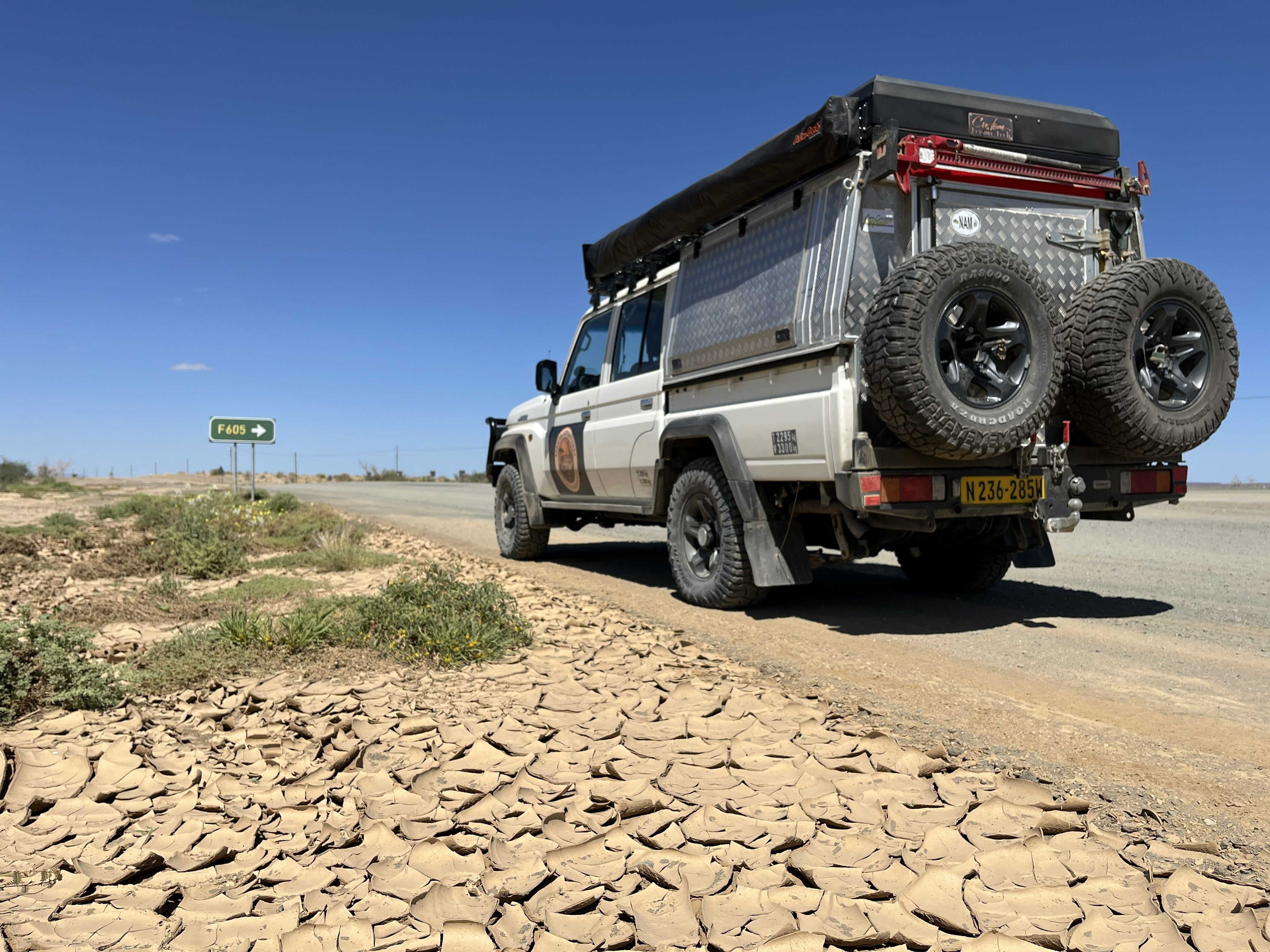 Best Guided Safari Company in Namibia: A Guide for Discerning Adventurers (2026)