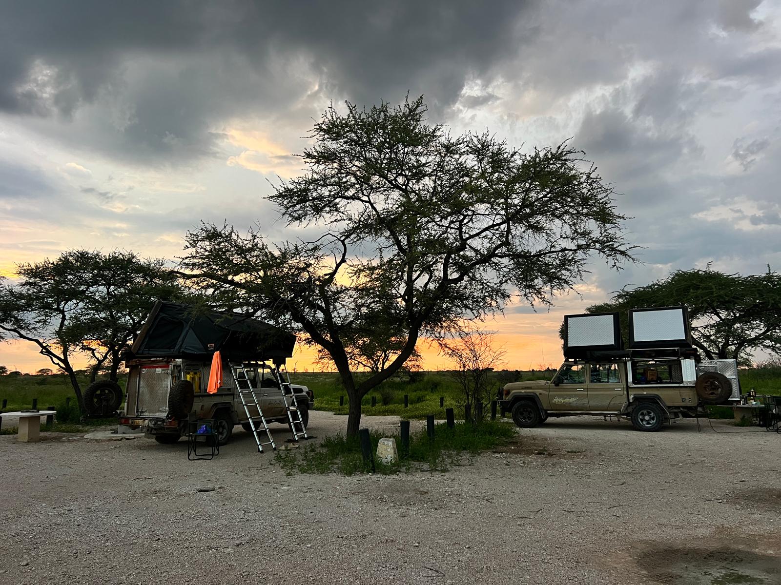 Premium Small Group Tours in Southern Africa: The 2026 Overlanding Guide