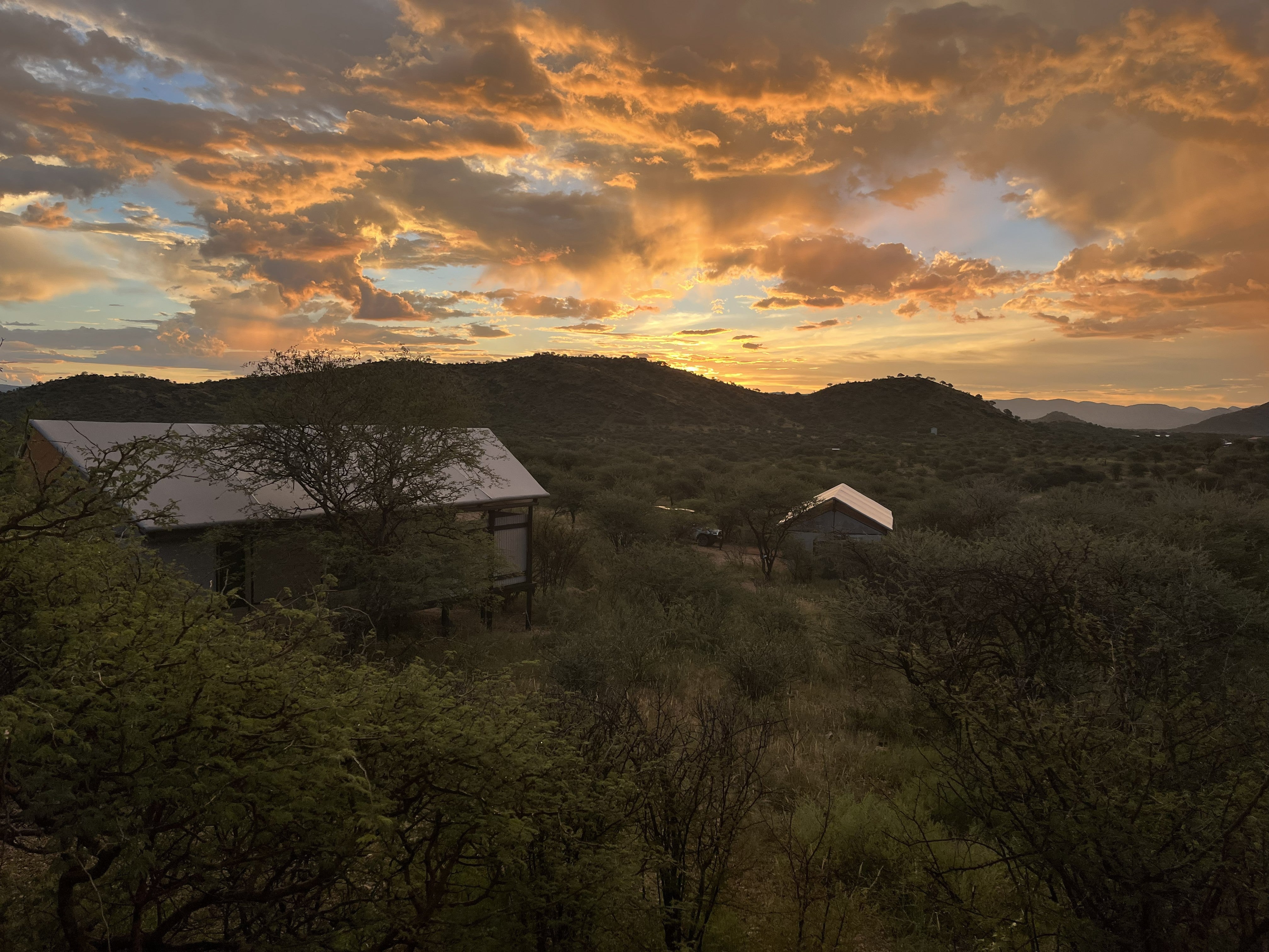 Beyond the Map: Transformative Father and Son Trip Ideas in Africa for 2026