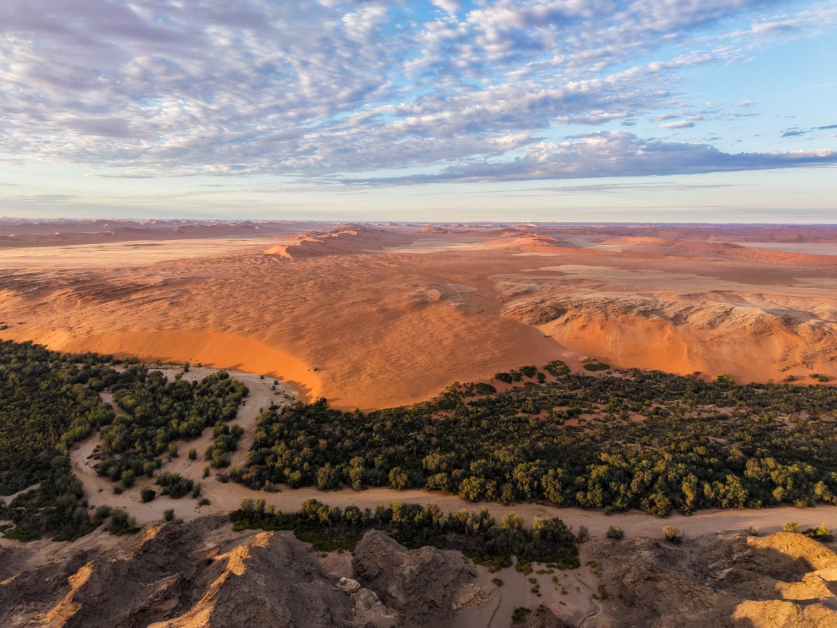The Silence of the Kunene: A Guide to the Kaokoland Expedition in 2026