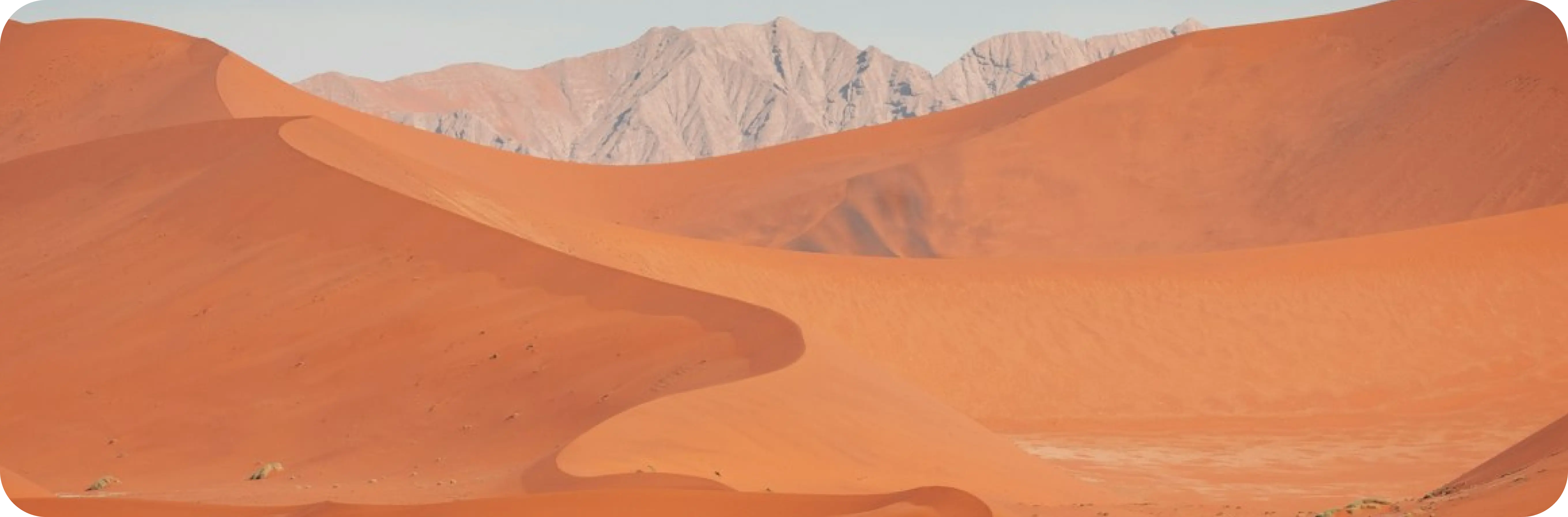 Skeleton Coast Expedition: The Ultimate Guide to Namibia’s Last Wilderness (2026)