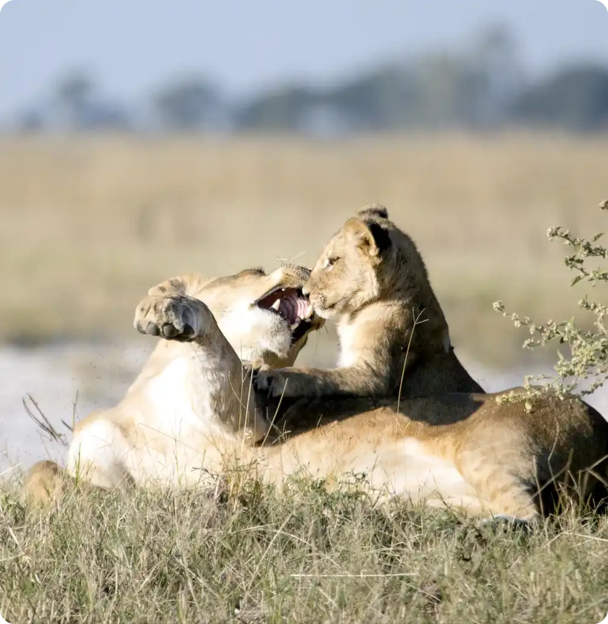 Northern Botswana Route