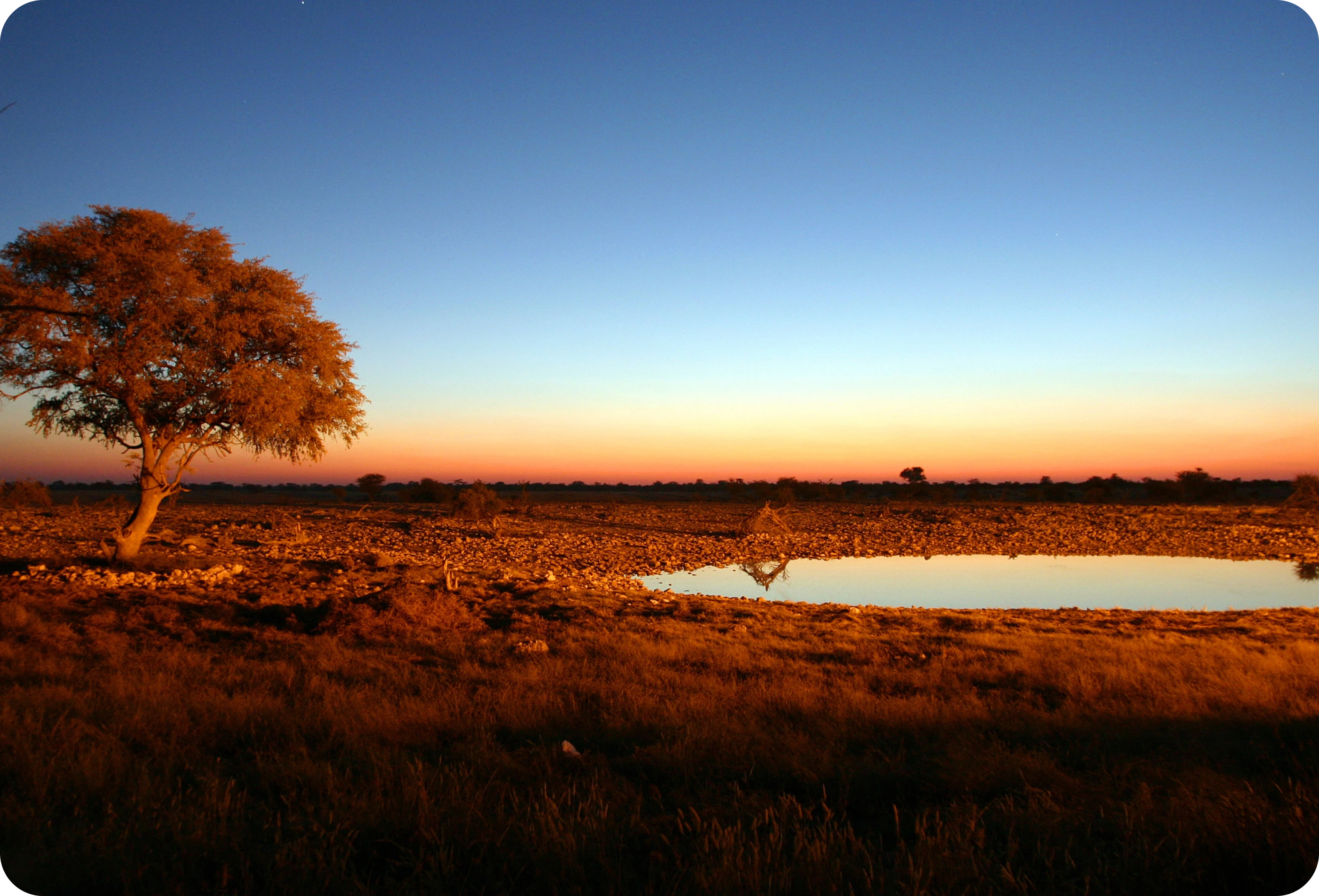 Desert sunset view