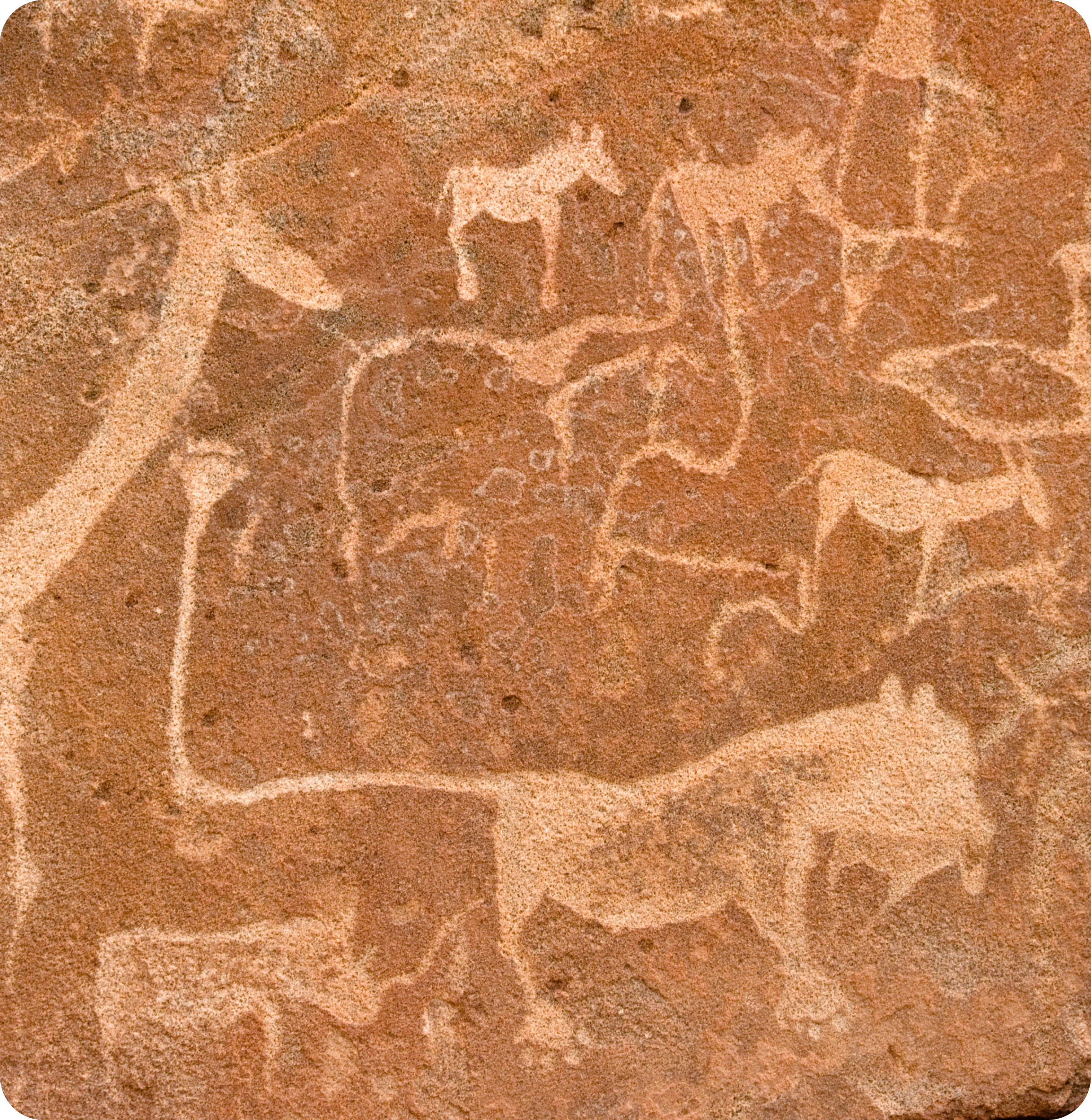 Ancient animal carvings
